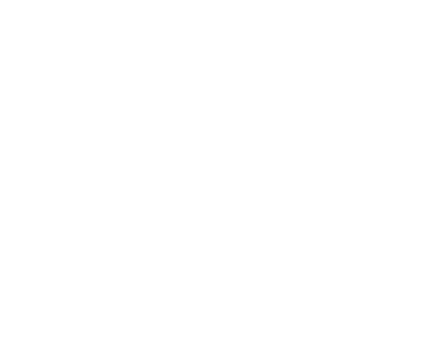 Longevity Run – Purosangue