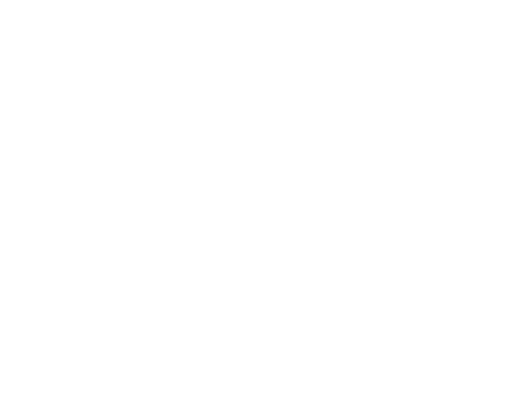 Longevity Run – Purosangue